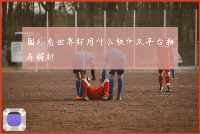 国外看世界杯用什么软件及平台推荐解析