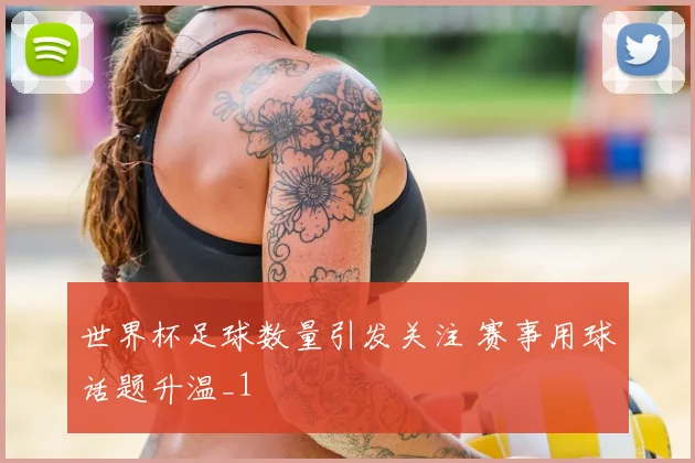 世界杯足球数量引发关注 赛事用球话题升温_1