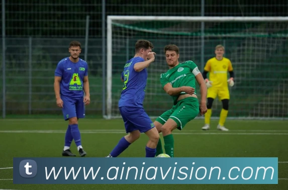 买球官方平台生态图